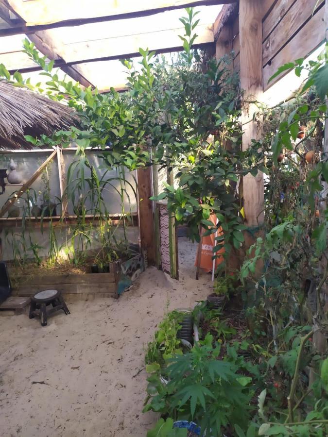 Casa Candombe Y Mar Barra de Valizas Εξωτερικό φωτογραφία